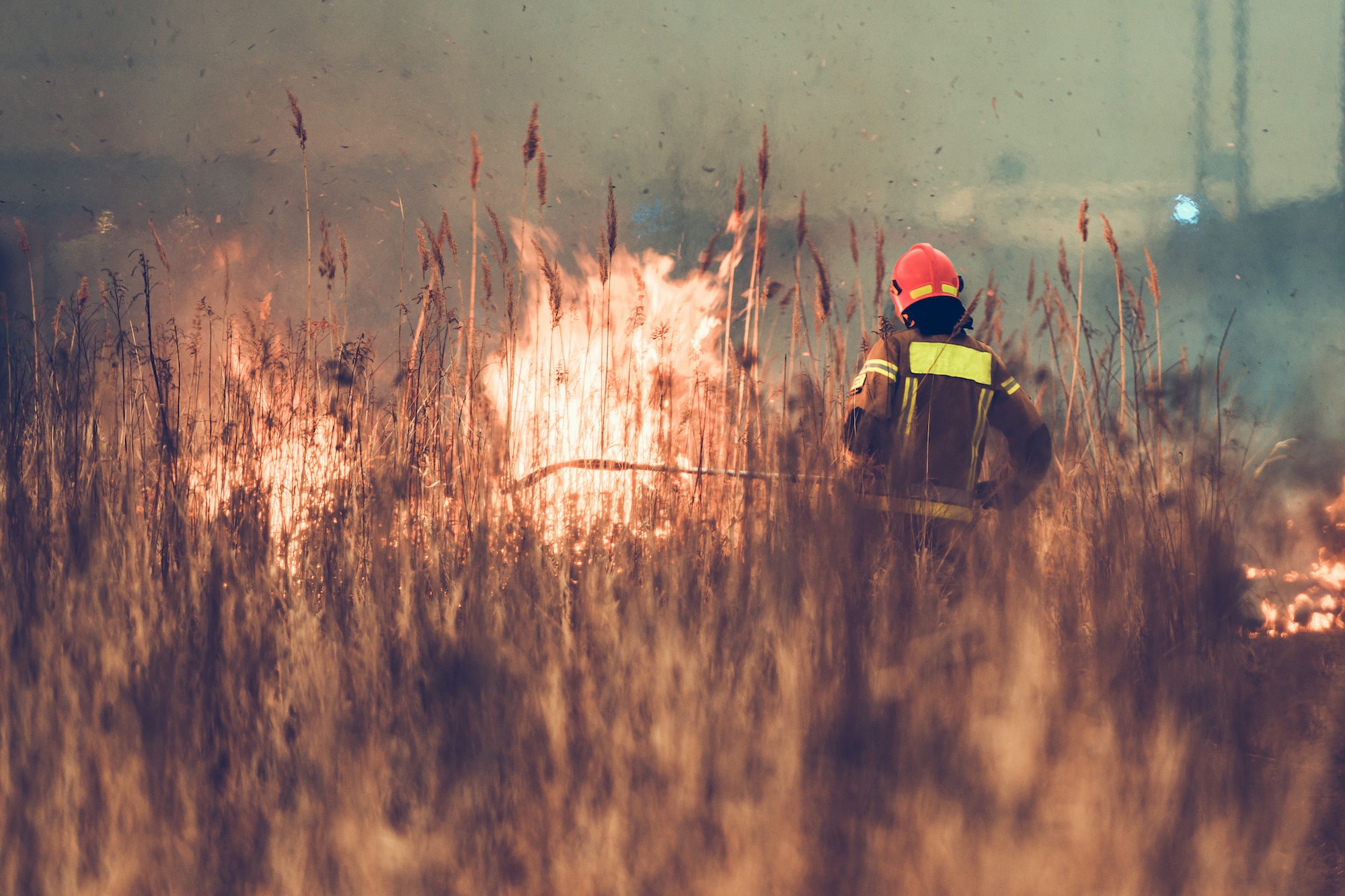 CMS Responds to Hawaii Wildfires