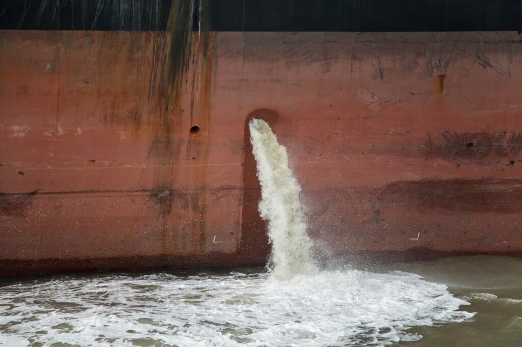 How Fish Are Related to Medicare