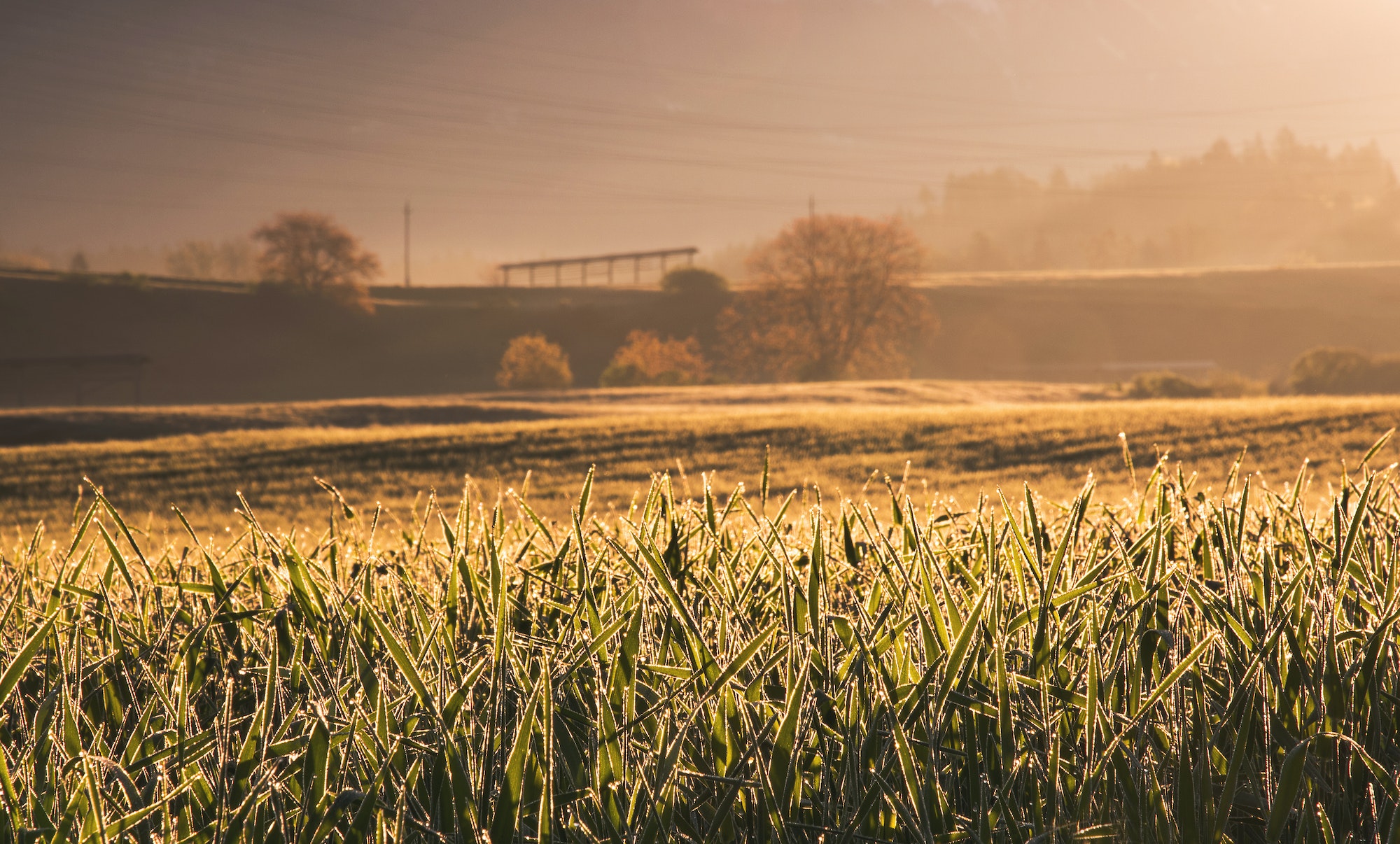 Dissecting the Plight of Rural Hospitals: Part III