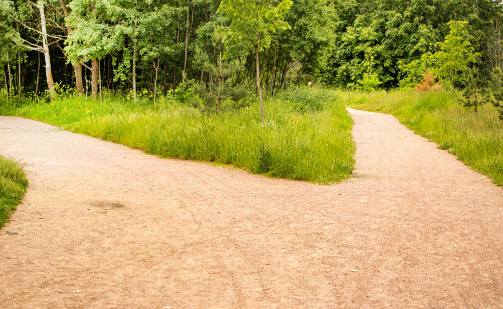 Choose A Road – Before It Chooses You